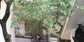 Siêu VIP biệt thự gỗ khủng tọa lạc TT quận 3 diện tích hơn 400m2 giá chỉ 110 tỷ