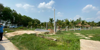 tiếp tục hạ giá miếng vườn đang lên thổ 1000m2 cây ăn trái nhà đầy đủ.