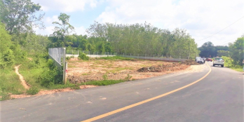 CHÍNH CHỦ BÁN GẦN CHỢ 10x28 THỔ CƯ ĐƯỜNG 16M GIÁ TỐT NHẤT GÒ DẦU 950TR