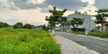 Đất xây dựng tự do, sổ hồng sẵn, tại phường Long Bình Tân