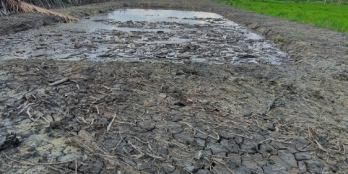 Lô đất nông nghiệp xã Phú Đông cách đường lớn Hùng Vương 300m, đường oto tới đất