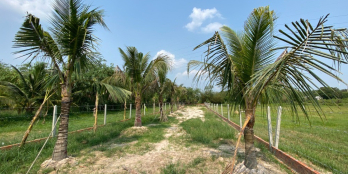 Đất vườn QH dân cư SX 1000m2 Nhuận Đức, Củ Chi, mặt tiền đường bê tông