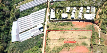 Chính chủ bán gấp đất Măng Lin, DT 7000m2, view đẹp, thích hợp phân lô