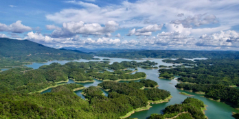 5 hecta view đẹp nhất Tà Đùng. Dành riêng cho khách VIP