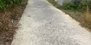 Cần bán lô đất 1.2 sào ở Ấp 3 Phước Bình, đường thông, dân đông, SHR