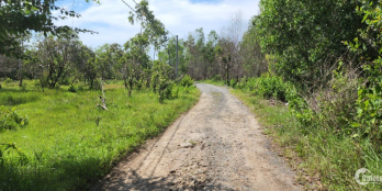 Chính chủ bán đất sau Bangkok, xây rào đẹp 1.45