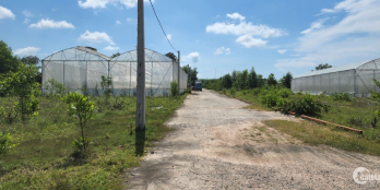 Chị 2 gửi bán 6000m2 đất phía sau Bangkok Irelax