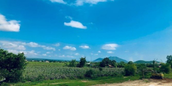 Bán gấp 4500m2 đất CLN ven hồ suối đá, sổ hồng sẵn đường ô tô vào tận đất