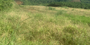 Bán 23x45m đất gần Thác Đambri, Tu Viện Bát Nhã, nhà Thờ La Vang,Chùa Adida.