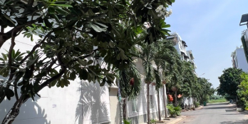 ⭐️ CẦN BÁN LÔ ĐẤT GẦN NHÀ THỜ AN PHÚ ĐÔNG, QUẬN 12 GIÁ CHỈ 3,2 TỶ - Bds #13