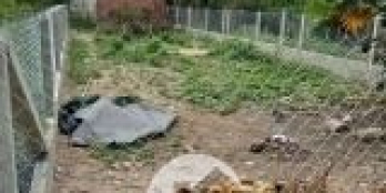 Cần bán 1 nền duy nhất An Phú Trung, Củ Chi. Diện tích 196m2 giá chỉ 3 tỷ