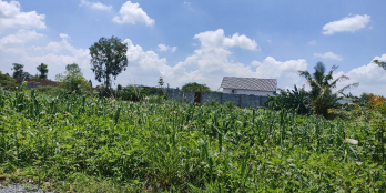 Bán gấp đất Bùi Hữu Nghĩa kề KDC Kim Oanh, Biên Hoà, Đồng Nai giá tốt