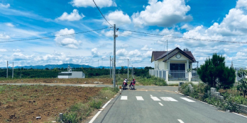 ngộp lô đất ngay gần chợ Lộc An , Bảo Lâm. 145m2 đường nhựa 9m , sổ sẵn