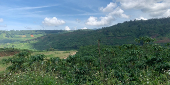 Cần tiền bán gấp 4.000m2 đất có 70m mặt tiền đường, có 3 mặt tiền giá rẻ bất ngờ