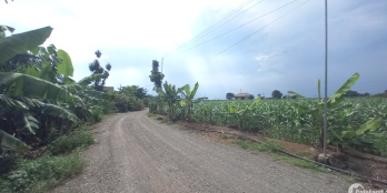 Đất Vườn Trảng Bom. Giá giai đoạn F0