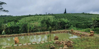 Kẹt tiền trả nợ ngân hàng cần bán gấp mảnh đất 10.5x55m,có suối lớn chỉ 2,1TR1M