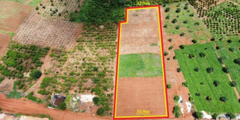 Đất ở, đất nghỉ dưỡng , nhà vườn giá đầu tư