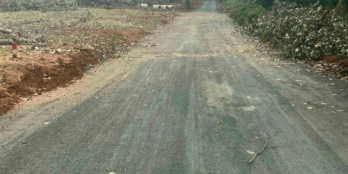 kẹt tiền bán gấp  vườn sầu riêng 2500m2 tại Đồng Phú. Giá