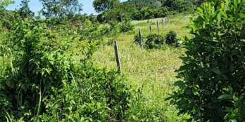 Đi nước ngoài không ai trông, bán mảnh đất sổ riêng thổ cư ven biển