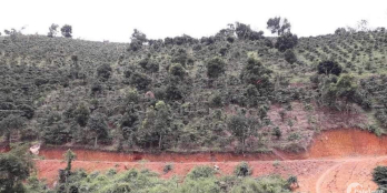 Kẹt tiền bán gấp mảnh vườn DT 1 Mẫu 2550m² (600tr/sào) cách trung tâm TP Đà Lạt