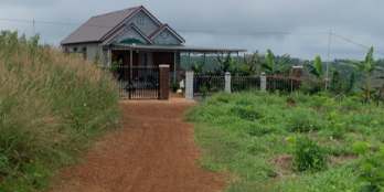 110m mặt tiền đường xe hơi tận nơi. 1,2 hecta chỉ 1.29 tỷ