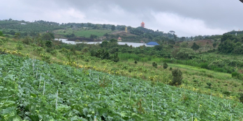 3.800m2 đất trên thực tế, 2.800m2 đất trên sổ cạnh Thác Đambri giá chỉ 1,9 tỷ