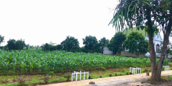 Đất nền giá rẻ chỉ 800tr/nền,gần QL20 Tp Bảo Lộc