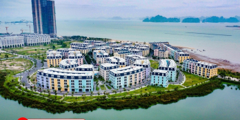 Bán căn nhà phố Harbor Bay Hạ Long trục đường đôi kinh doanh khách sạn nhà hàng