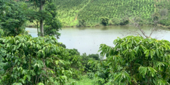 Mảnh đất siêu đẹp, 1,2 hecta ôm hồ ngay trung tâm Tà Đùng