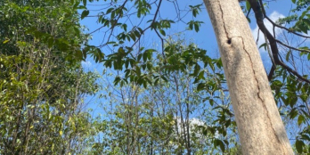 CẦN BÁN MẢNH ĐẤT DT 9325m2 TẠI XÃ HẮC DỊCH , BR-VT