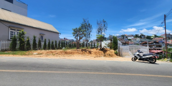 Bán lô đất Đường Tô Vĩnh Diện – Đà Lạt DT 1156m² (Mặt Tiền 19m) giá 36Tỷ500