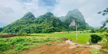 bán gấp lô đất có dt 2300m2 có 1000m2 thổ cư, view cánh đồng núi cực phẩm