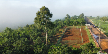 CHÍNH CHỦ BÁN GẤP LÔ VƯỜN BƠ SHR - THỔ CƯ 200M2 GẦN QL20 CHỈ 5,5TR/M