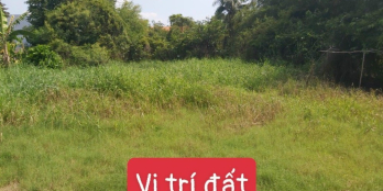 Đất nền Qui Đức - Bình Chánh, tphcm, sổ hồng riêng