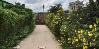 Mở Bán Đất nền Ven Sông đồng Nai