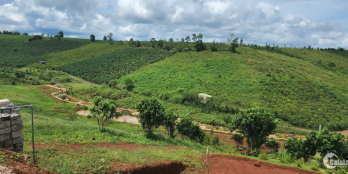 Chính chủ bán đất có thổ cư, công chứng ngay vì kẹt tiền