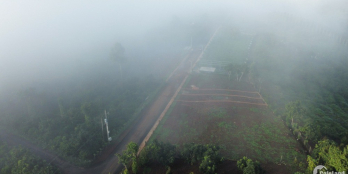 Mua cây bơ 034 tặng ngay đất thổ cư