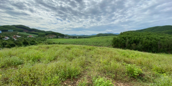 CẦN BÁN ĐẤT VƯỜN TẠI XÃ KHÁNH NAM, HUYỆN KHÁNH VĨNH. LH 0795179468