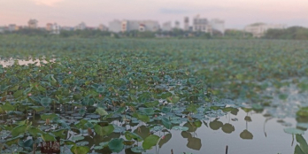 Bán siêu phẩm Vinhomes Symphony-61m-nội thất xịn-tầng trung-nhỉnh 3 tỷ