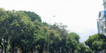 Mặt Tiền Hiếm Hoi Đặng Thùy Trâm, 4 tấm, 4x20m