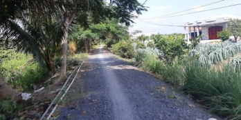 không ở đâu rẻ hơn: bán 186m2 thổ cư đường DT 816 Xã Thạnh Hòa _ gấp giá 610 tr