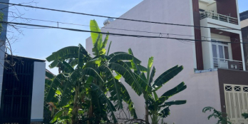 Lô đất đẹp cần sang MT Đỗ Nhuận, Sơn Kỳ, Tân Phú, 80m2 giá 2.8 tỷ