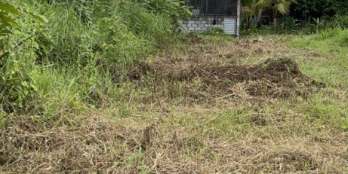 Cần bán đất nền Ấp Xuân Hòa, Xã Lợi Bình Nhơn, TP.Tân An