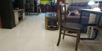 Chủ cần tiền bán gấp nhà HXH đường Cô Bắc nhà 5 lầu DT 48 m2 giá giảm còn 8.3tỷ