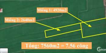 Đất ruộng 7.560m2 nhánh đường cầu Đập Đá, P.Vĩnh Thông, Rạch Giá