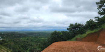 Cần bán 7800m2 đất cây ăn trái, view cực đẹp ở Tân Lạc