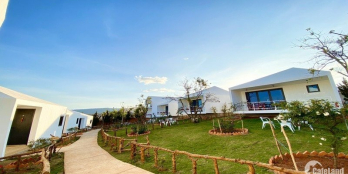 479 triệu VNĐ có ngay 1 tổ ấm du lịch, săn mây trên đối cao TP Bảo Lộc