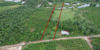 Bán đất Tà Đùng ngay trung tâm xã 1500m2 mặt tiền đường chỉ 1 tỷ