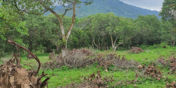 Bán 2 lo view mát mẻ thoáng mát xuân lộc