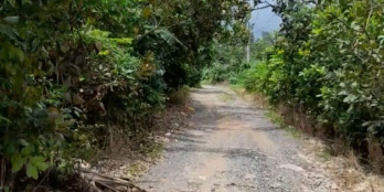 Đất ấp 5 Phước Bình, đường oto, dân cư hiện hữu, shr có thổ cư sẵn.